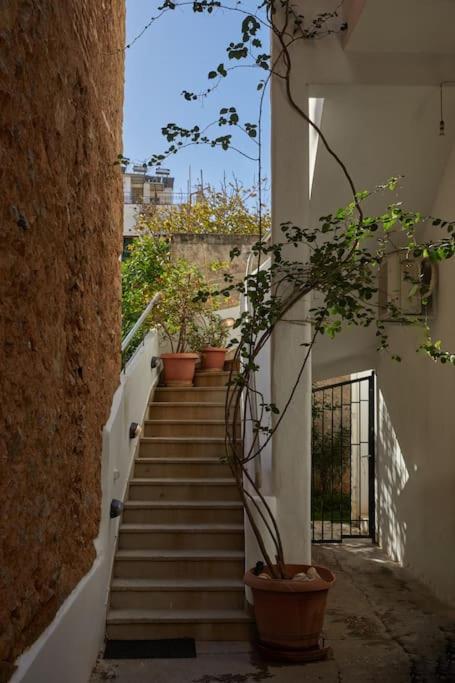 דירות אתונה The Sunny House מראה חיצוני תמונה